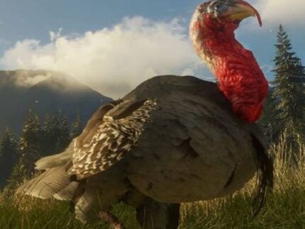 theHunter: Call of the Wild - Silver Ridge Peaks DLC Steam (Download digitale)
